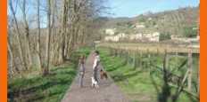 Dicomano - Contea. Arriva la pista ciclabile lungo la Sieve