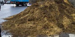 Dicomano. Si ribalta rimorchio carico di letame. Strada chiusa...