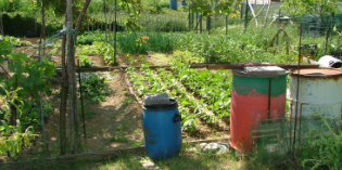 Dicomano. Bando per l'assegnazione degli orti sociali. Info..