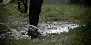 Vaglia. Al via la trentasettesima edizione de Lo Scarabone