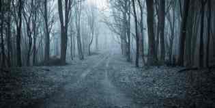 Coppia di fidanzati dispersi in Appennino. Ritrovati...