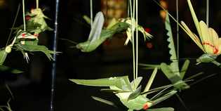 Firenze. Alle Cascine torna la festa del Grillo. Info...