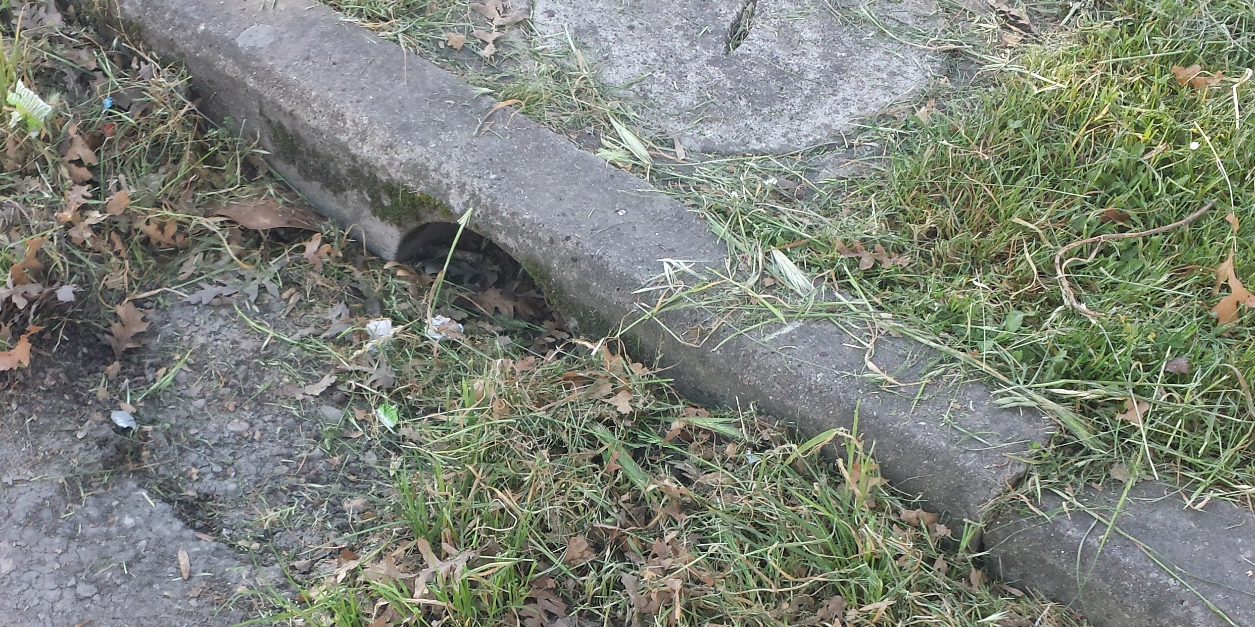 Borgo, piazzale piscine. Polemica sulla pulizia dei tombini