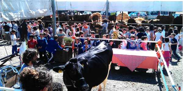 Borgo. Da giovedì 5 a domenica 8 la Fiera Agricola. Programma...