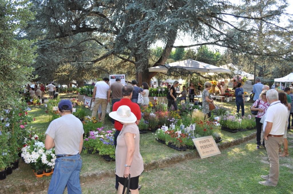 Borgo San Lorenzo. Fiorinfiera: un successo alla prima edizione