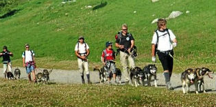 “Il Segno di Fido”: tutte le iniziative del mese di giugno. Info...