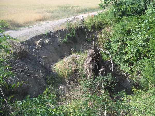Ciclabile Borgo Vicchio. Albero caduto (ancora) nel letto del fiume