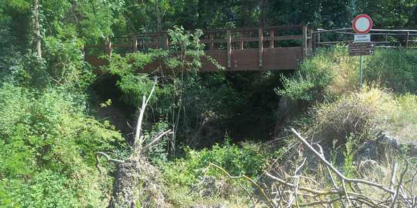 Ciclabile Borgo Vicchio. Albero caduto (ancora) nel letto del fiume