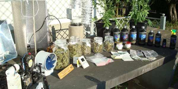 Scarperia. Piantagione di Marijuana in casa, arrestato 40enne...