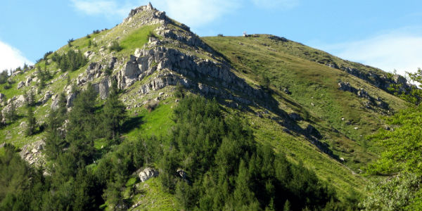 Camminata nel verde e merenda-cena con 'Un amico per tutti'. Info...