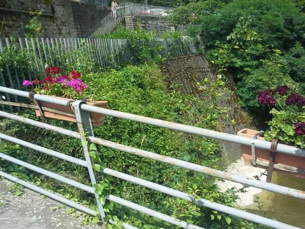 Marradi. Decoro urbano ed erba alta. Denuncia (e foto) di Forza Italia...