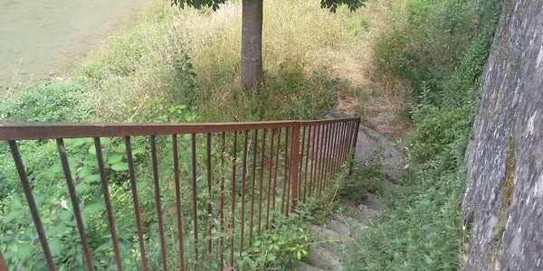 Marradi. Decoro urbano ed erba alta. Denuncia (e foto) di Forza Italia...