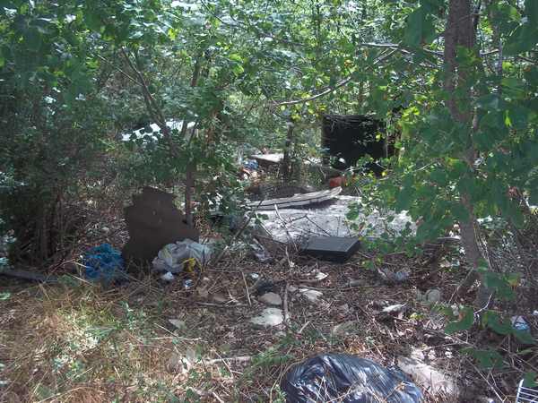 Borgo. Frigoriferi e materassi. Discarica abusiva nel bosco...