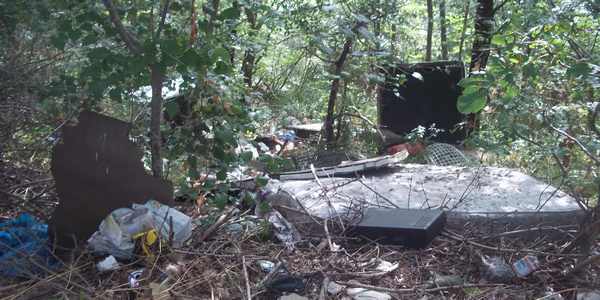 Borgo. Frigoriferi e materassi. Discarica abusiva nel bosco...