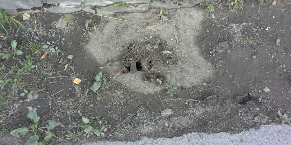 Marradi. Continuano le denunce di Forza Italia, foto...