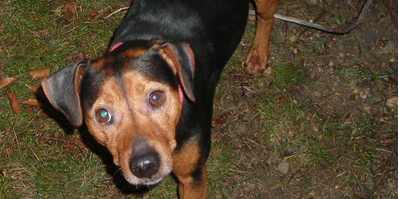 OK!Mugello a servizio dei lettori. Chi ha visto Spago?