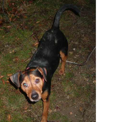 OK!Mugello a servizio dei lettori. Chi ha visto Spago?