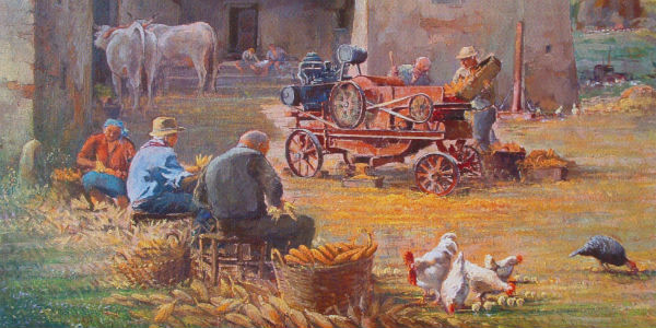 'Vita in campagna'. Il vicchiese Paladini espone a Viterbo