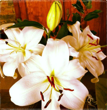 Sabato mostra e teatro alla casa di Giotto