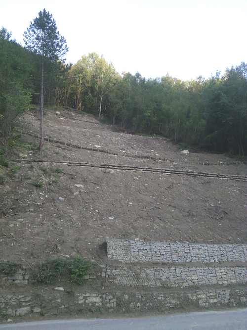 Frane. Finiti i lavori a Salti, montagna in sicurezza