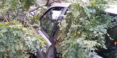 Albero su auto. Tragedia sfiorata a Scarperia per il forte vento...