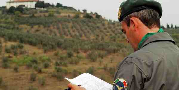 Pontassieve. 80enne si perde nel bosco, ritrovato dalla Forestale