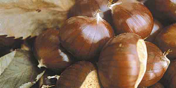 Marradi. Ultima domenica con la Sagra delle castagne. Info...