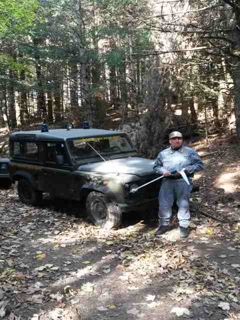 Alberi abbattuti sul Falterona. Indaga la Forestale...