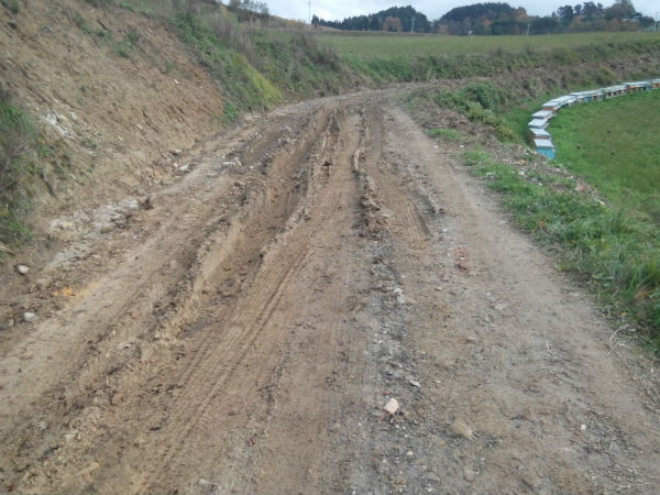 Marradi e la strada di Grisiglano. Denuncia di Forza Italia, le foto...