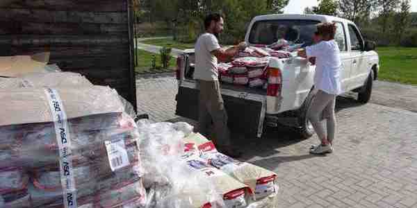 Lupo. Quintali di cibo gratis ai cani da pastore...