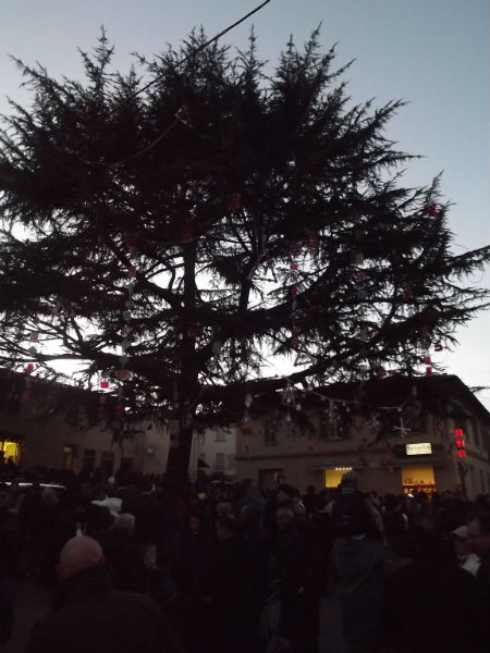 L’accensione del Cedro in Piazza del Poggio