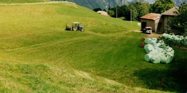 Imu e agricoltura. Il Mugello: 'Il governo ci ripensi'