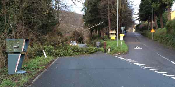 Polcanto. Cade un albero, Faentina interrotta...