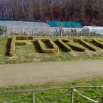 Parliamone... di domenica. Le notizie più lette del 2014 in Mugello