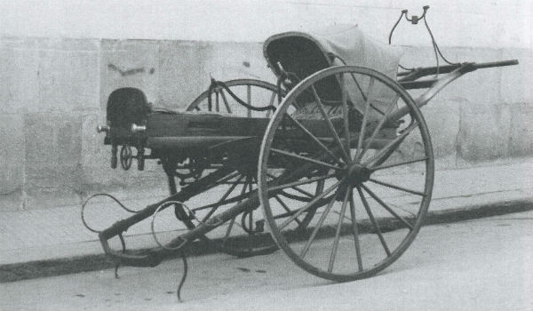La festa della misericordia quest’anno al ss. Crocifisso