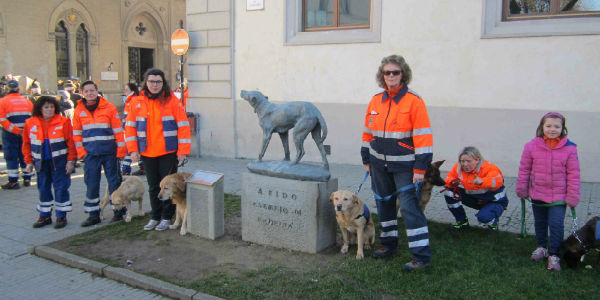 Borgo e la festa della Misericordia. Cronaca e foto...