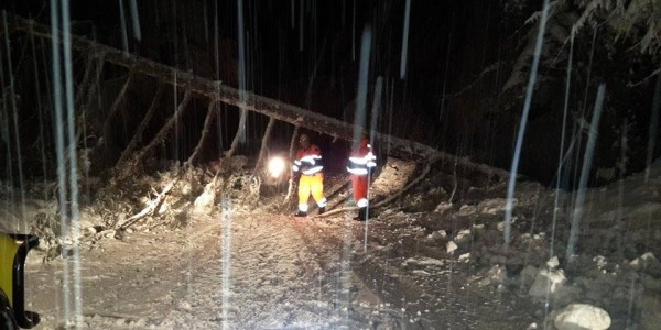 Passo della Colla, albero bloccava la strada. L'intervento