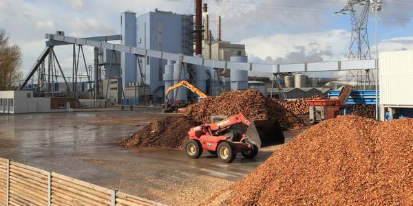 Biomasse a Petrona? 'Rischi per la popolazione' per i 5 Stelle