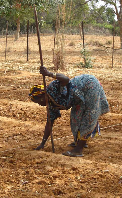 Da Polcanto al deserto. L'impegno di Margherita per i bimbi
