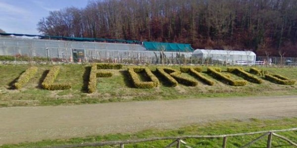 Forteto. 'Presto i bandi per il reinserimento delle vittime'