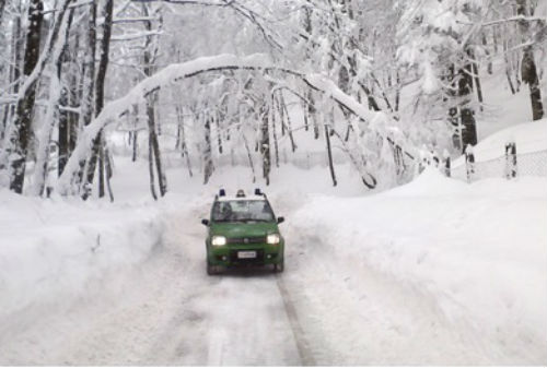 Neve in Toscana. Gli interventi (e la foto) della Forestale...