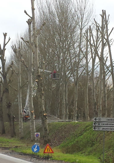 Potature, strade e non solo. L'attività del cantiere comunale