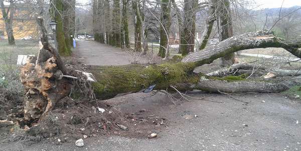 Borgo chiede lo stato di emergenza. E stamani c'era Rossi in Mugello
