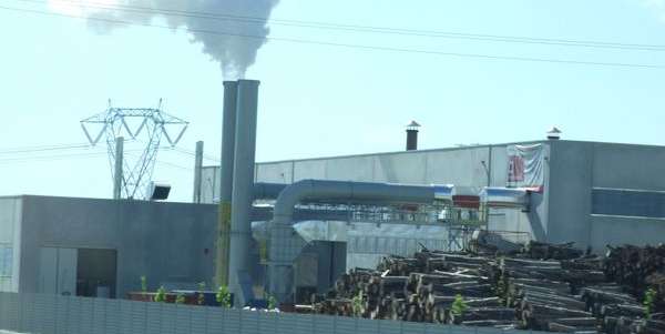 Le biomasse e la (mancata) trasparenza. Domande di Sauro Bani