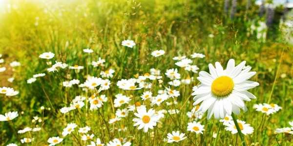 Giorno & Notte. Tutto il fine settimana in Mugello dal 27 al 29 marzo