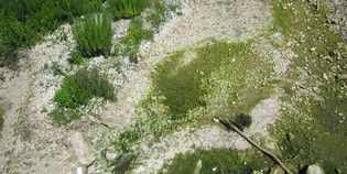 Carza. Richieste di Rifondazione per la mitigazione dei danni