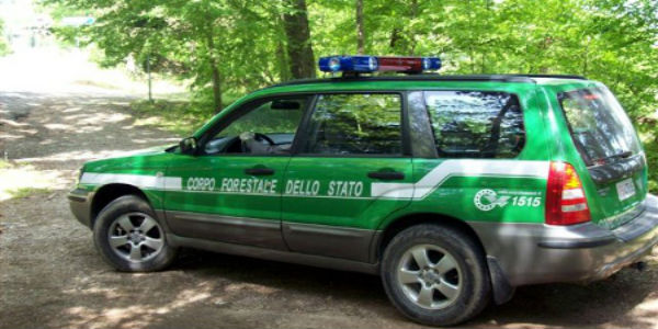 Trasporto di legna abusivo nel Fiorentino