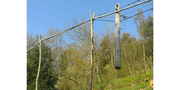 Chi regge cosa? Il ' palo volante ' e la linea artigianale