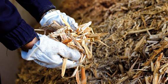 Biomasse. Opportunità o rischio? Incontro a Barberino