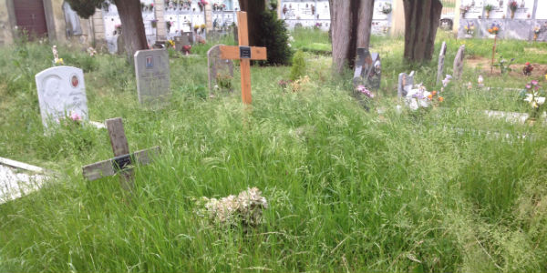 Torna la primavera. Torna l'erba alta nei cimiteri, foto